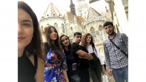 Նյութի նկարը